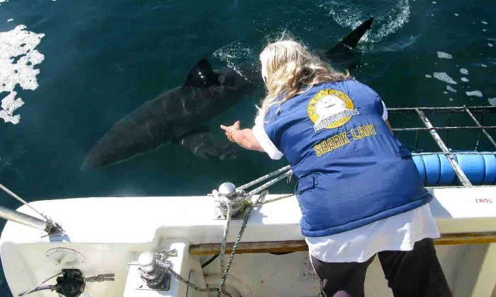 Shark Cage Diving Experience with Sharklady Adventures - Image 3