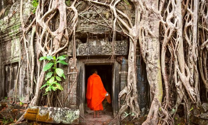 Southeast Asia: 14-Day best of Vietnam and Cambodia Highlight Tour - Image 6