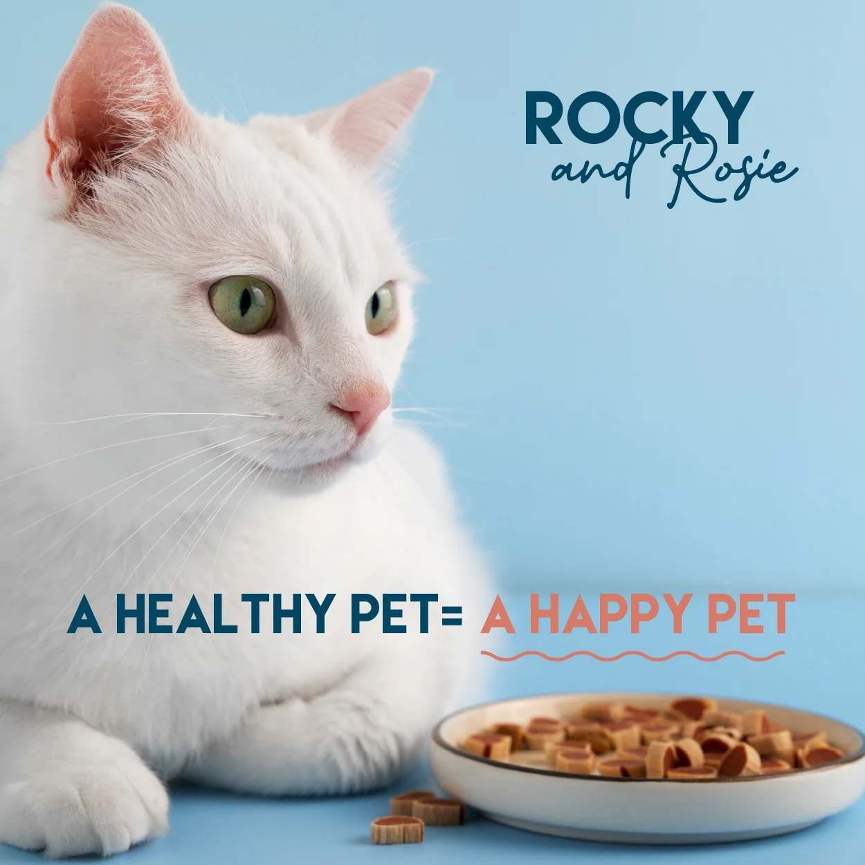 The Harvest Table Rocky and Rosie Pet Range - Image 3