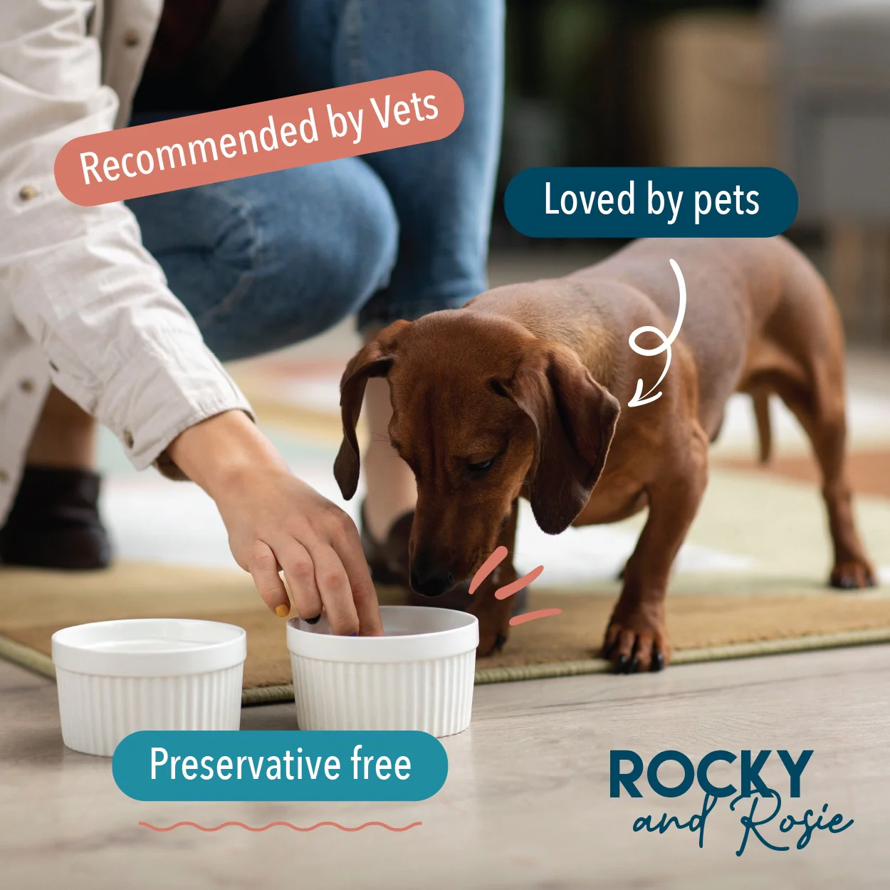 The Harvest Table Rocky and Rosie Pet Range - Image 9