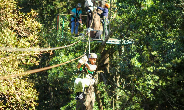 Tsitsikamma Canopy Tour – Zipline Adventure with Stormsriver Adventures in South Africa’s Lush Rainforest - Image 10