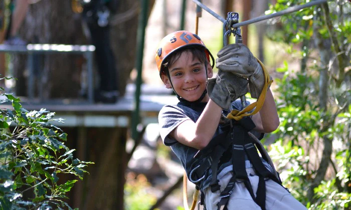 Tsitsikamma Canopy Tour – Zipline Adventure with Stormsriver Adventures in South Africa’s Lush Rainforest - Image 2
