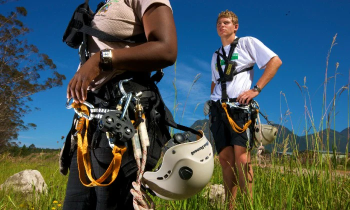 Tsitsikamma Canopy Tour – Zipline Adventure with Stormsriver Adventures in South Africa’s Lush Rainforest - Image 4