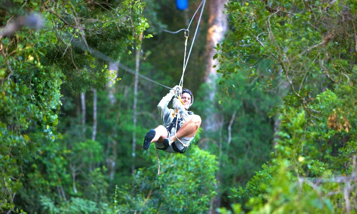 Tsitsikamma Canopy Tour – Zipline Adventure with Stormsriver Adventures in South Africa’s Lush Rainforest - Image 7