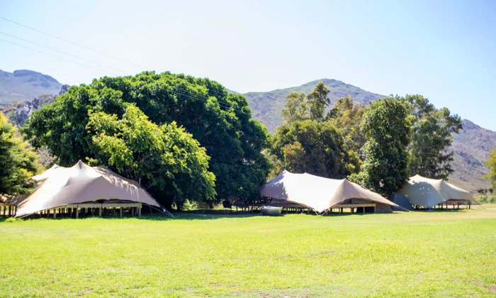 Western Cape: 1-Night Midweek Glamping Experience for 2 at Wolfkop Camping Villages - Image 8