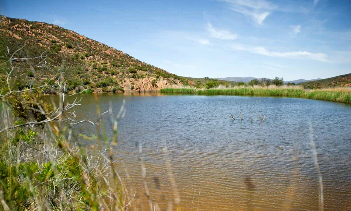 Western Cape: 2-Night Stay for 2 including Game Drive at African Game Lodge - Image 10
