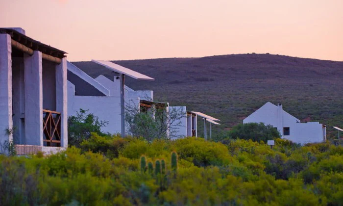 Western Cape: 2-Night Stay for 2 including Game Drive at African Game Lodge - Image 9