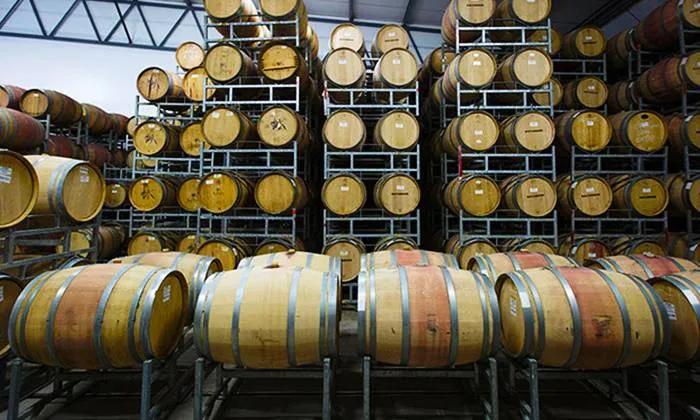 Wine Cellar Tour with a Tasting of 5 x Wines for up to Four at Koelenhof Winery - Image 6